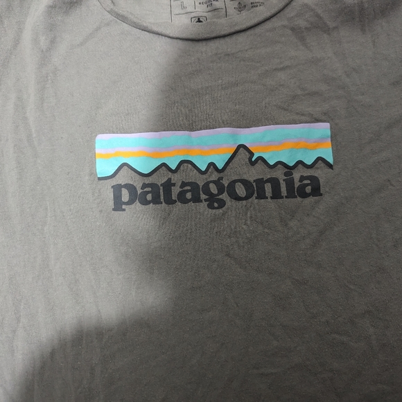 Patagonia Tee NWOT - Picture 2 of 4